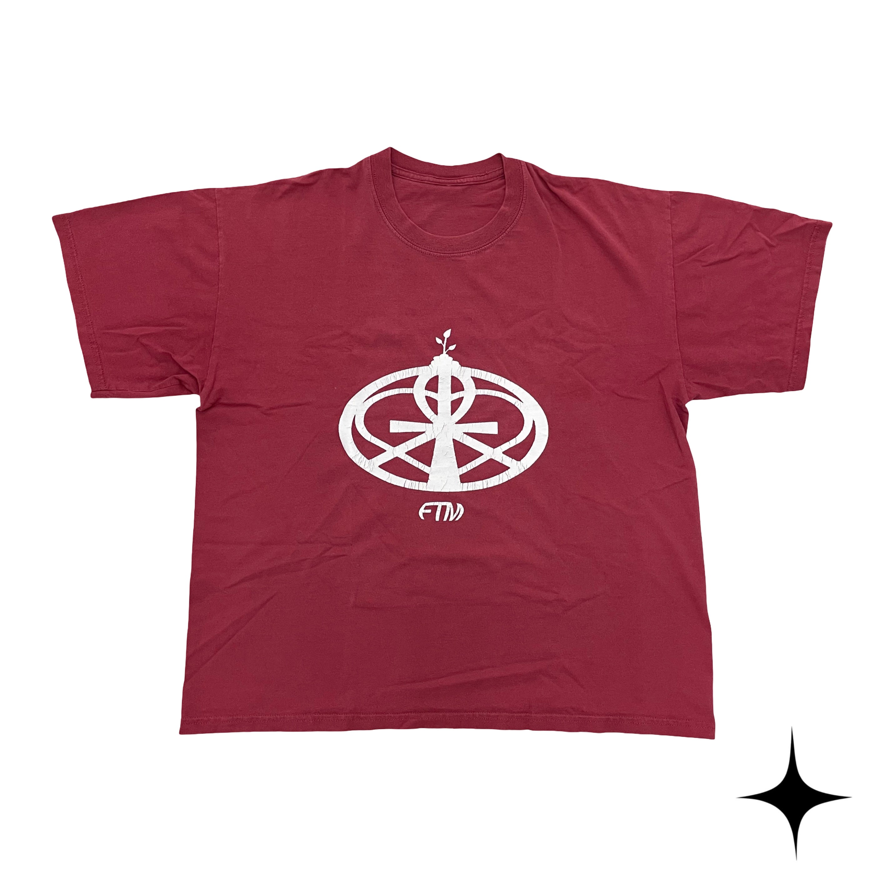 FTM 010