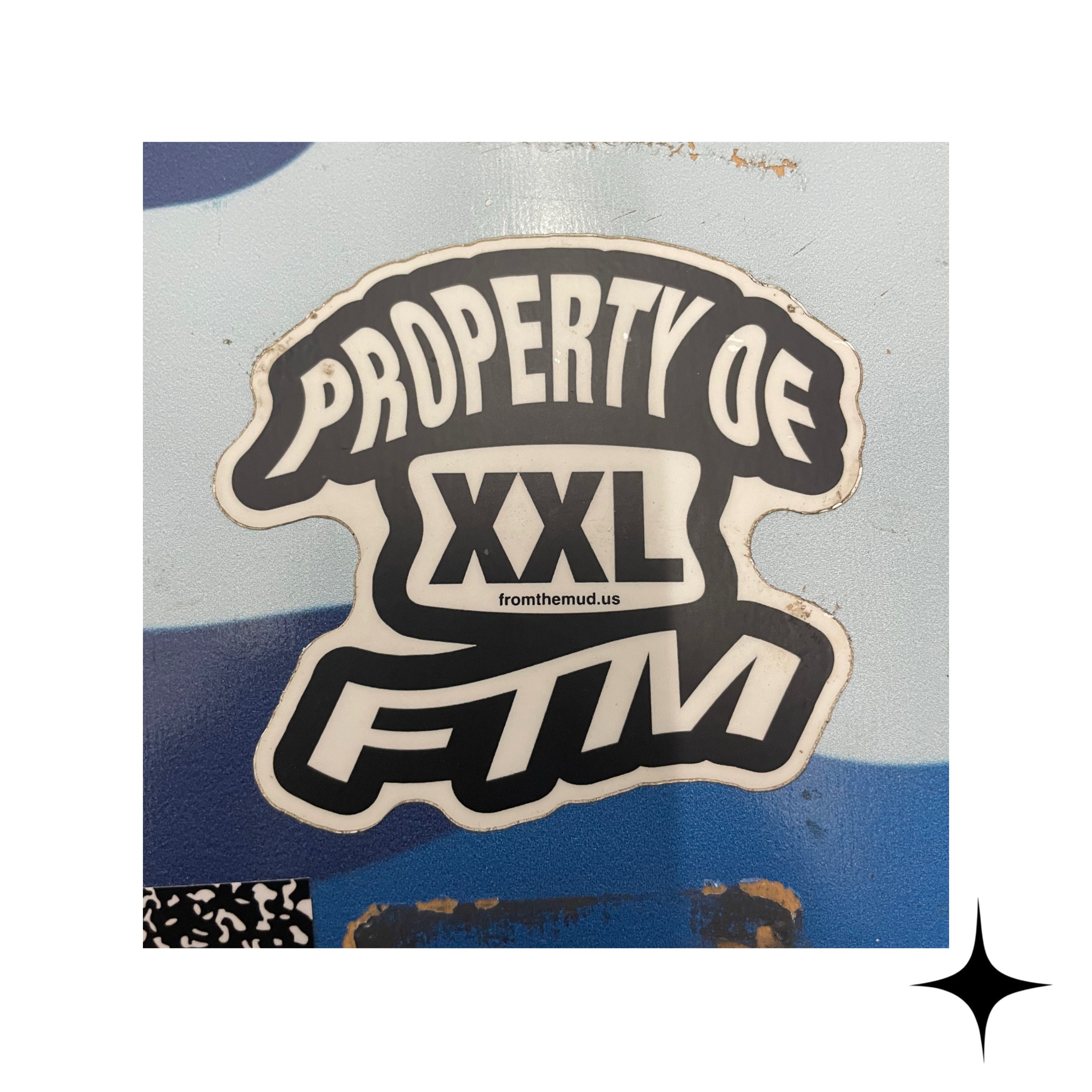 FTM 031